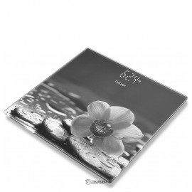 Стеклянные весы Beurer GS 215 Relax 107866