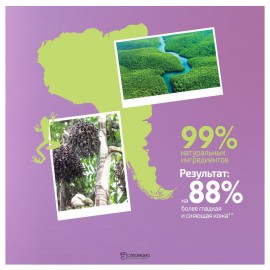 Био скраб для тела Энергия и Молодость Асаи Planeta Organica 108179