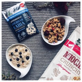 Протеиновая овсяная каша Bionova с черникой milk protein быстрого приготовления 108247