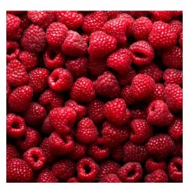 Протеиновый шейк Bionova с малиной vegan protein 108258