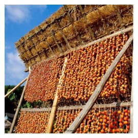 Хурма сушеная 150 г Rival 108452