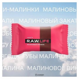 Конфета Малиновый трюфель 18 г RAW LIFE 109804
