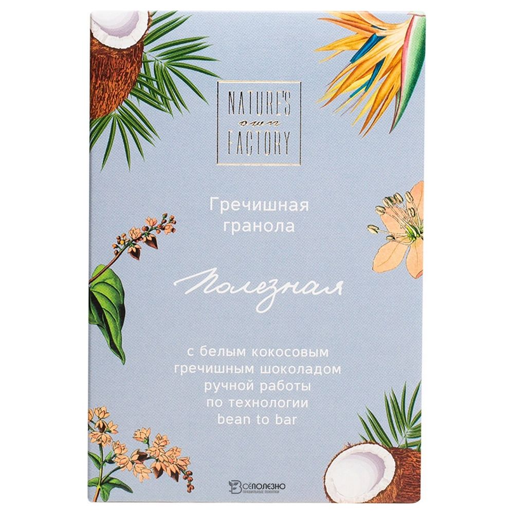 Гранола гречишная с белым кокосовым гречишным шоколадом 75 г Nature's own factory 109941