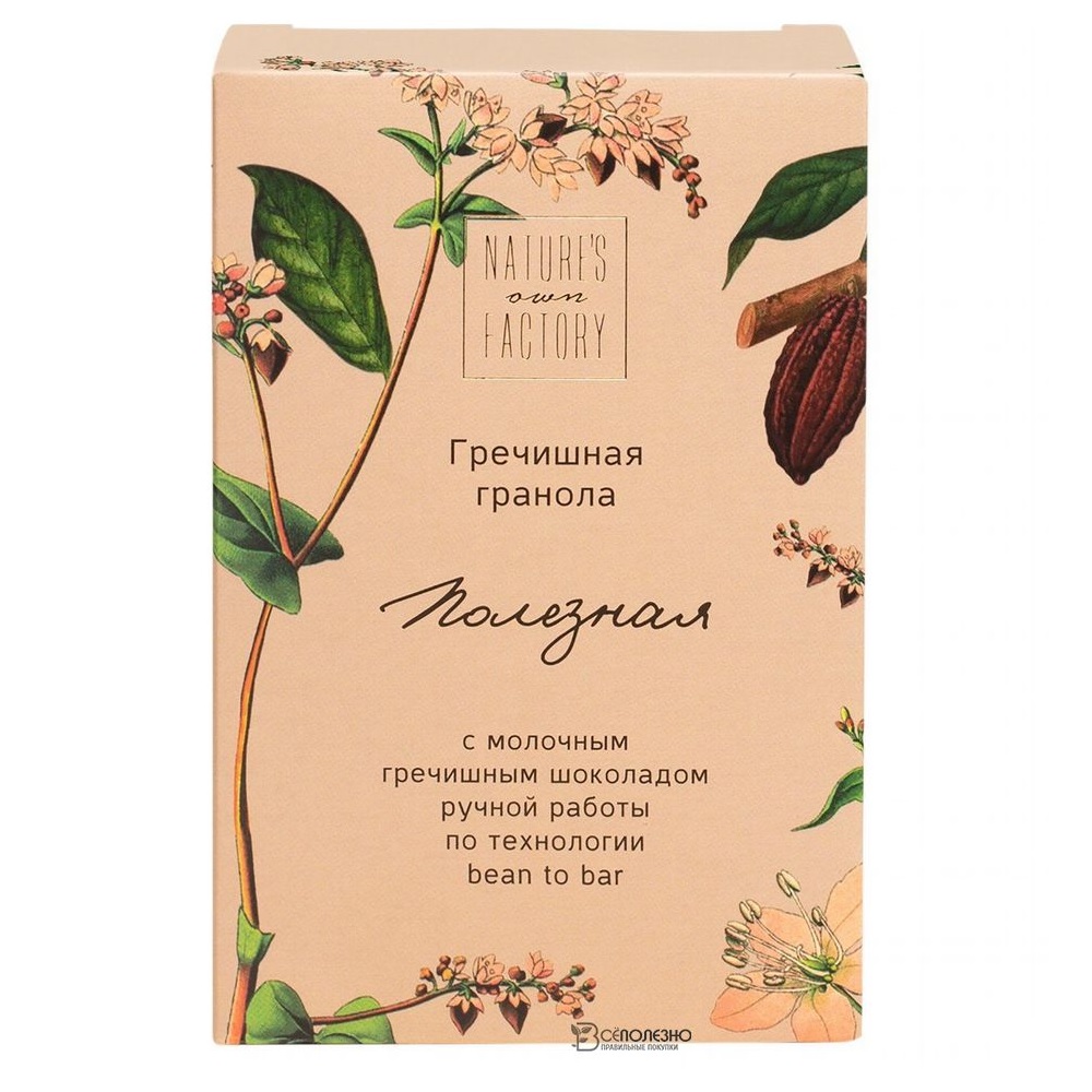 Гранола гречишная с молочным гречишным шоколадом 75 г Nature's own factory 109942