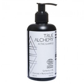 Шампунь Sorbents 1,9% Charcoal + Montmorillonite 250 мл True Alchemy 110453