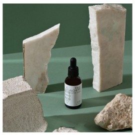 Сыворотка Ectoin 0,5% 30 мл True Alchemy 110454