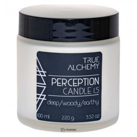 Свеча Perception 100 мл True Alchemy 110475