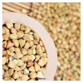 Гречка зелёная в варочных пакетах 350 г Вастэко 110926