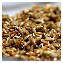 Рожь для проращивания Житница здоровья 400 г 111220