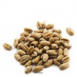 Пшеница для проращивания Житница здоровья 1 кг 111223