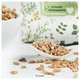 Полба (крупа цельнозерновая) Житница здоровья 400 г 111225