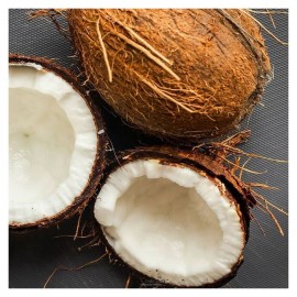 Напиток безалкогольный негазированный пастеризованный BIO Кокосовое молоко 330 мл Vietcoco 111300