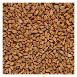 Пшеница 500 г Чёрный хлеб 111924