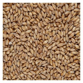 Полба голозёрная био 500 г Чёрный хлеб 111934