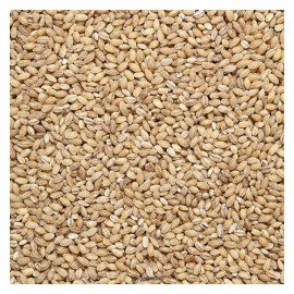 Ячмень 500 г Чёрный хлеб 111938