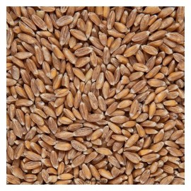 Крупа из спельты цельная био 500 г Чёрный хлеб 111947