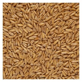 Овёс голозёрный 500 г Чёрный хлеб 111952