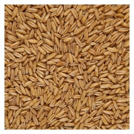 Крупа овсяная цельная био 500 г Чёрный хлеб 111969