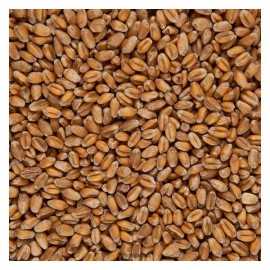 Крупа пшеничная цельная био 500 г Чёрный хлеб 111972