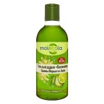 Гель для душа Свежесть цветы моринги и лайм 400 мл MOLECOLA 113229