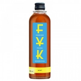 Комбуча Мята 330 мл FYK 1137116