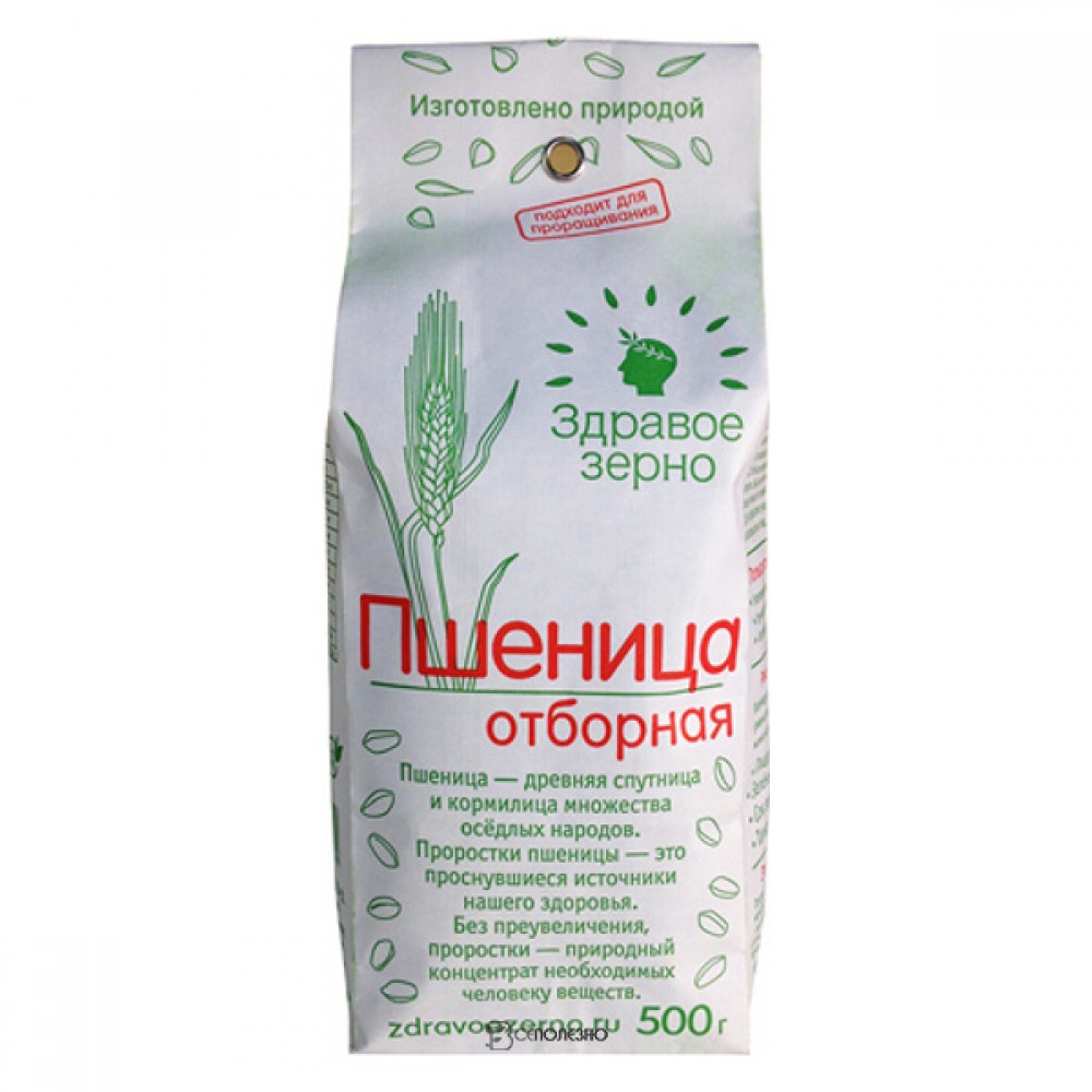 Пшеница отборная Здравое зерно 500 г 114435 купить в интернет-магазине ...