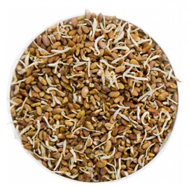 Проростки сублимированные Люцерна 70 г Образ жизни Алтая 140104