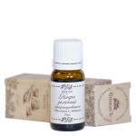 Масло Кофе Зеленого нерафинированное 10 мл СпивакЪ 154090