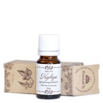 Масло Кукуи нерафинированное 10 мл СпивакЪ 154111