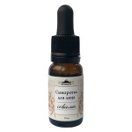 Сыворотка Сквалан 10 мл СпивакЪ 154152