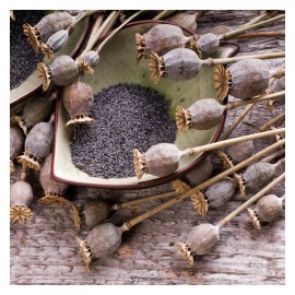 Мак кондитерский 200 г POLEZZNO 160026