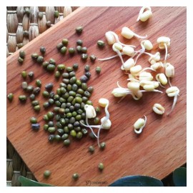 Фасоль маш 300 г POLEZZNO 160027