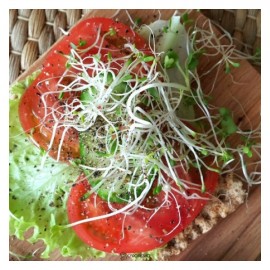 Семена для проращивания микрозелени микс Молодость 100 г POLEZZNO 160028