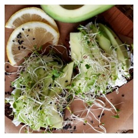 Семена для проращивания микрозелени микс Стройность 100 г POLEZZNO 160029