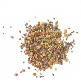 Семена для проращивания микрозелени микс Французский 100 г POLEZZNO 160030