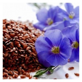 Семена льна 300 г POLEZZNO 160035