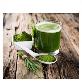 Ростки пшеницы молотые Витграсс 100 г POLEZZNO 160047