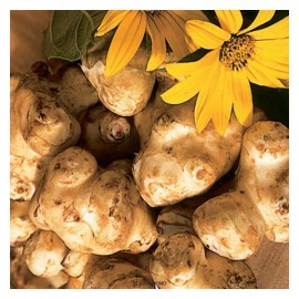 Порошок топинамбура 150 г POLEZZNO 160115