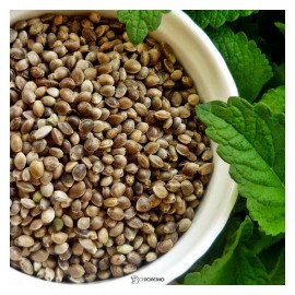 Семена Конопли Компас здоровья 150 г 220908