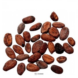 Какао-бобы необжаренные, неочищенные Royal Forest 100 г 230131