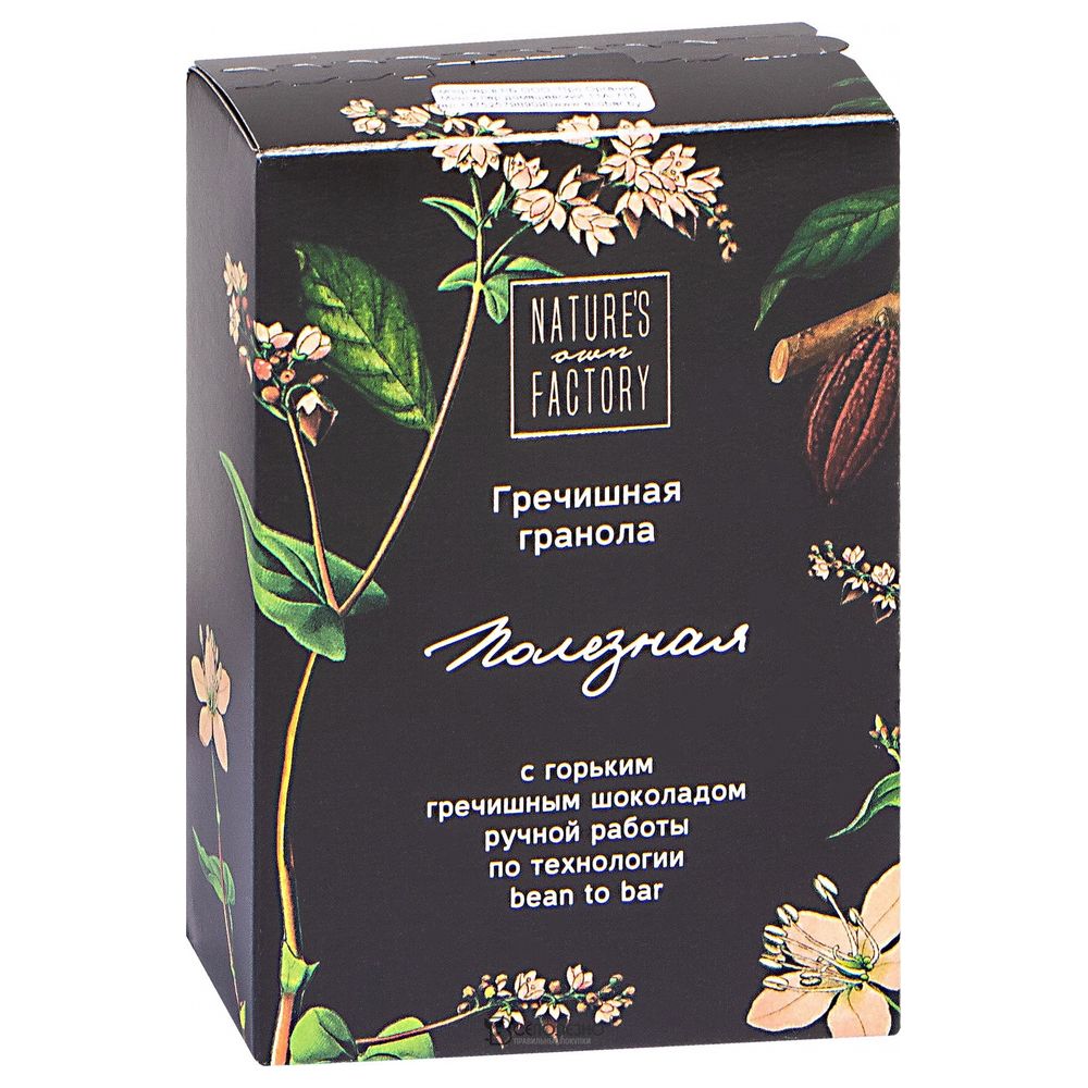 Гранола гречишная с горьким гречишным шоколадом 97 г Nature's own factory 113029